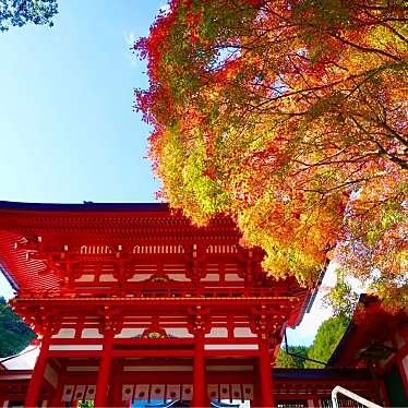 実際訪問したユーザーが直接撮影して投稿した神宮町神社近江神宮の写真