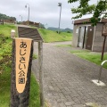 実際訪問したユーザーが直接撮影して投稿した多古公園あじさい公園の写真