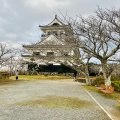 実際訪問したユーザーが直接撮影して投稿した館山城 / 城跡館山城の写真