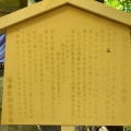 実際訪問したユーザーが直接撮影して投稿した池田自然名所熊野の長フジの写真