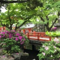 実際訪問したユーザーが直接撮影して投稿した院内神社千葉神社の写真