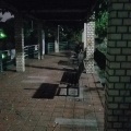 実際訪問したユーザーが直接撮影して投稿した碑文谷公園碑文谷公園の写真