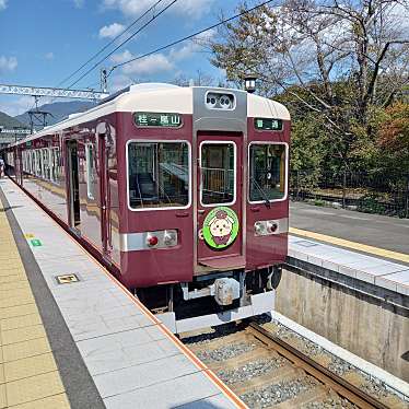 実際訪問したユーザーが直接撮影して投稿した嵯峨天龍寺造路町駅（代表）嵐山駅 (阪急嵐山線)の写真