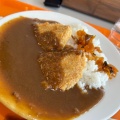 カツカレー - 実際訪問したユーザーが直接撮影して投稿した東小川カフェ天空カフェの写真のメニュー情報