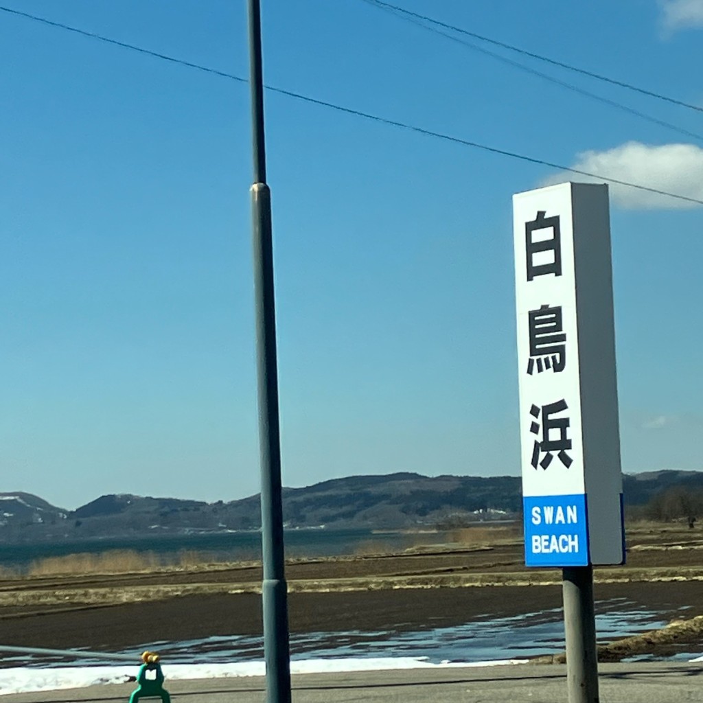 実際訪問したユーザーが直接撮影して投稿した堅田湖沼 / 池白鳥浜の写真