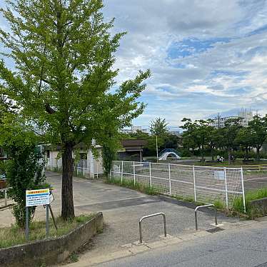 実際訪問したユーザーが直接撮影して投稿した都町公園都公園の写真