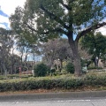 実際訪問したユーザーが直接撮影して投稿した三の丸公園名城公園の写真