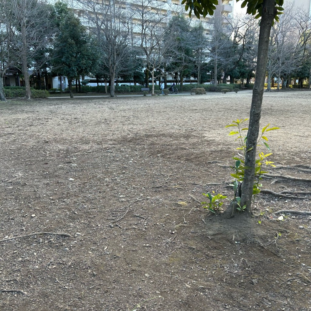 プレちゃん23さんが投稿したつつじが丘公園のお店つつじが丘公園/ツツジガオカコウエンの写真