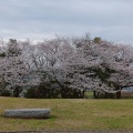 実際訪問したユーザーが直接撮影して投稿した和田山公園本牧山頂公園の写真