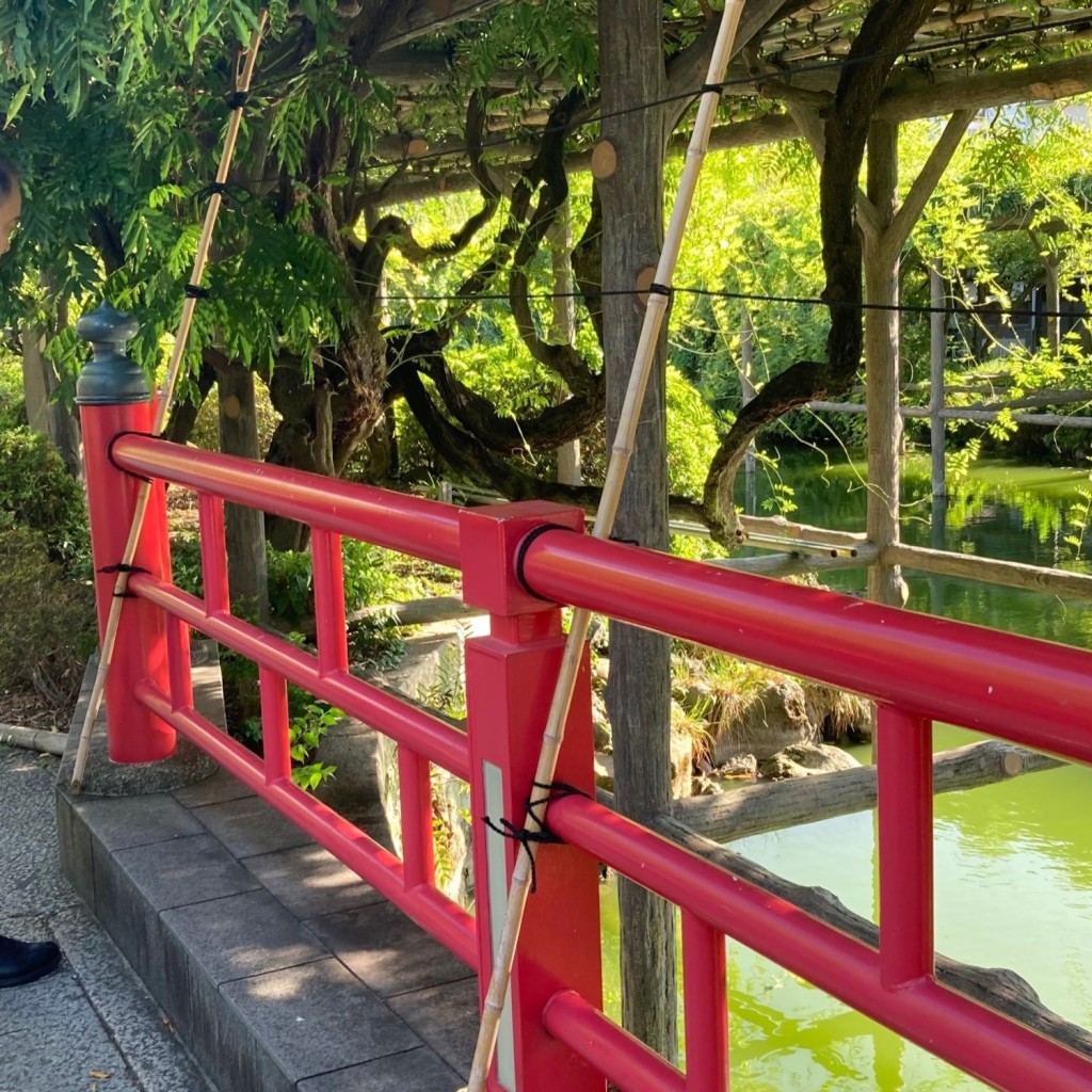 実際訪問したユーザーが直接撮影して投稿した亀戸自然名所亀戸天神社 藤棚の写真