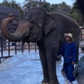 実際訪問したユーザーが直接撮影して投稿した山小川動物園アニマルワンダーリゾウト 市原ぞうの国の写真