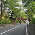 実際訪問したユーザーが直接撮影して投稿した田園調布本町地域名所桜橋の写真