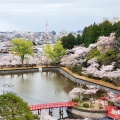 実際訪問したユーザーが直接撮影して投稿した高師公園茂原公園の写真