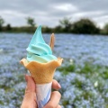 実際訪問したユーザーが直接撮影して投稿した北港緑地カフェカフェ舞土の写真