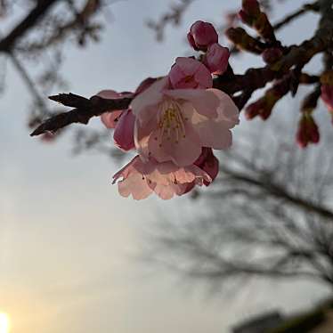 実際訪問したユーザーが直接撮影して投稿した舞木公園第一三共なかさと公園の写真