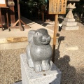 実際訪問したユーザーが直接撮影して投稿した大須神社三輪神社の写真