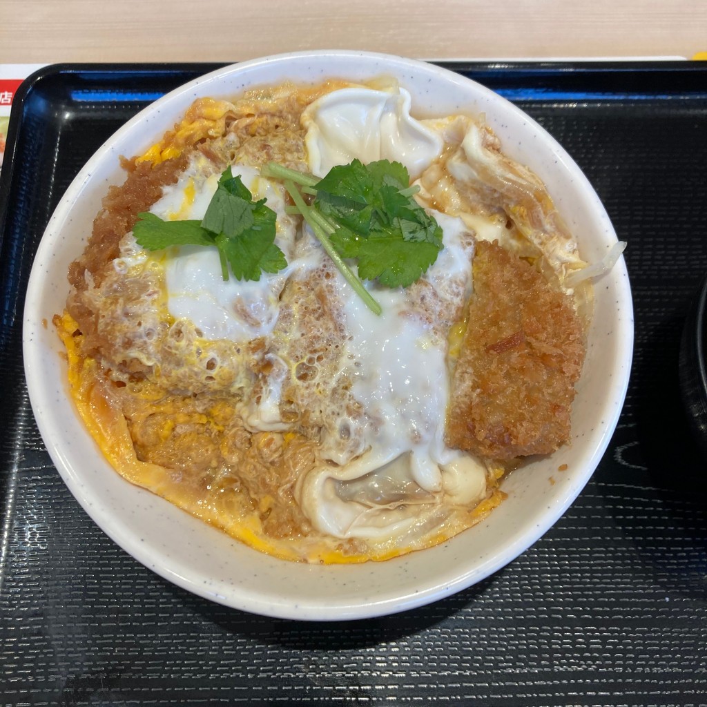 ユーザーが投稿したロースかつ丼の写真 - 実際訪問したユーザーが直接撮影して投稿した姫里とんかつ松のや 姫島店の写真