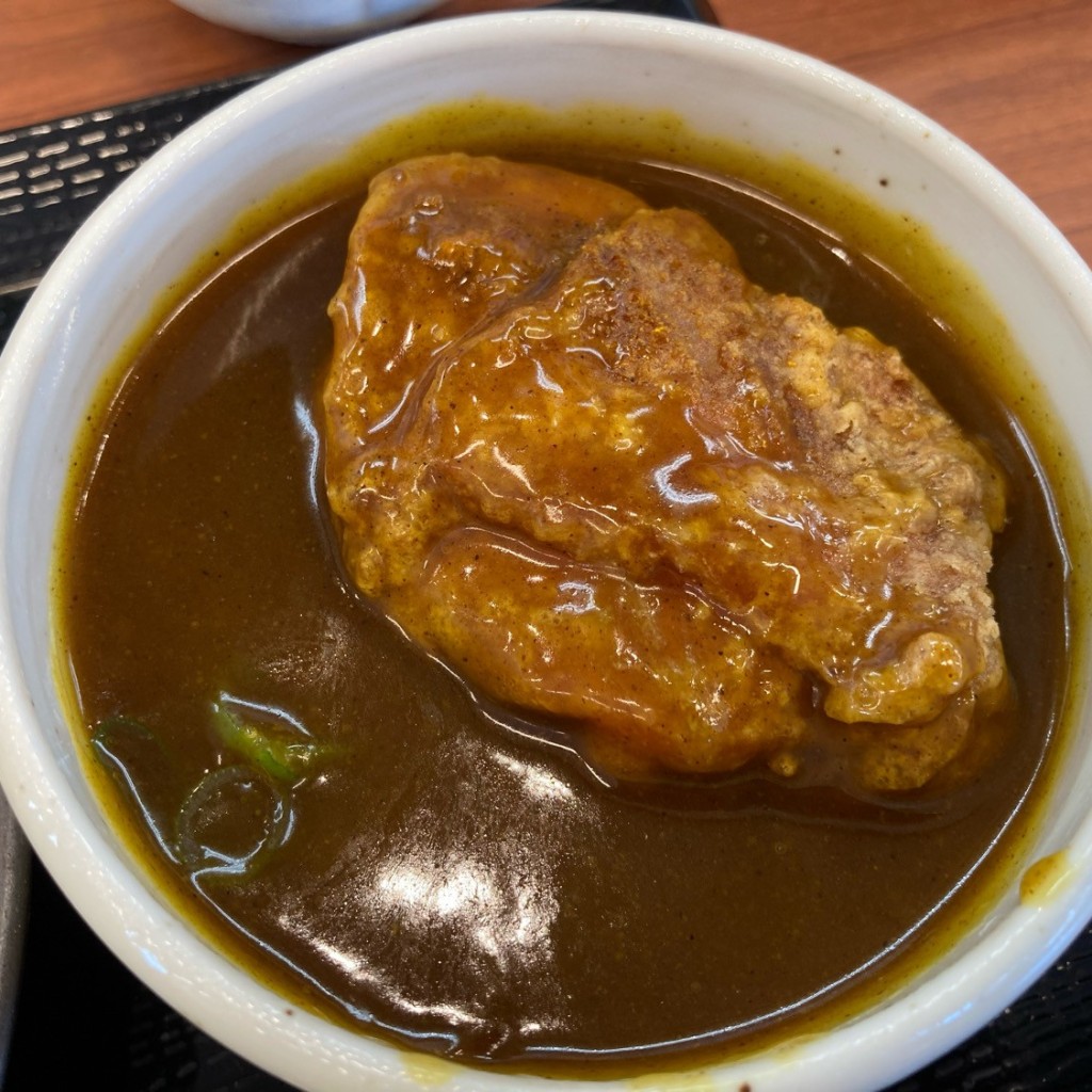 ユーザーが投稿した出汁カレーつけからていしょくwの写真 - 実際訪問したユーザーが直接撮影して投稿した伊賀町からあげからやま  岡崎伊賀店の写真