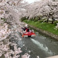 実際訪問したユーザーが直接撮影して投稿した本丸公園富山城址公園の写真