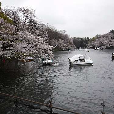 井の頭公園のundefinedに実際訪問訪問したユーザーunknownさんが新しく投稿した新着口コミの写真