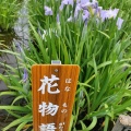 実際訪問したユーザーが直接撮影して投稿した北小岩庭園小岩菖蒲園の写真