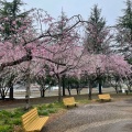 実際訪問したユーザーが直接撮影して投稿した駒羽根公園ネーブルパークの写真