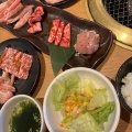 プレミアムランチ - 実際訪問したユーザーが直接撮影して投稿した植大焼肉カルビ大将 阿久比店の写真のメニュー情報