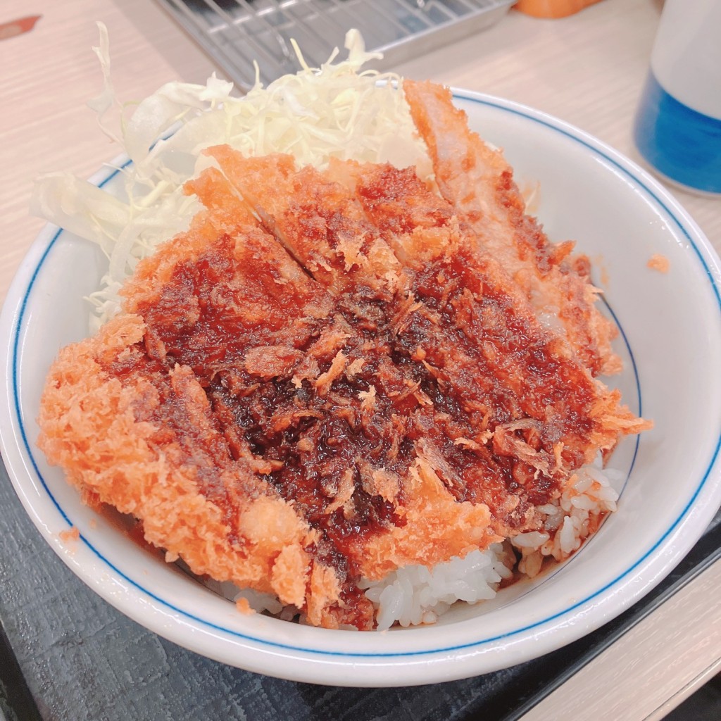 ユーザーが投稿したソースカツ丼(梅)の写真 - 実際訪問したユーザーが直接撮影して投稿した共栄通とんかつかつや 愛知瀬戸店の写真