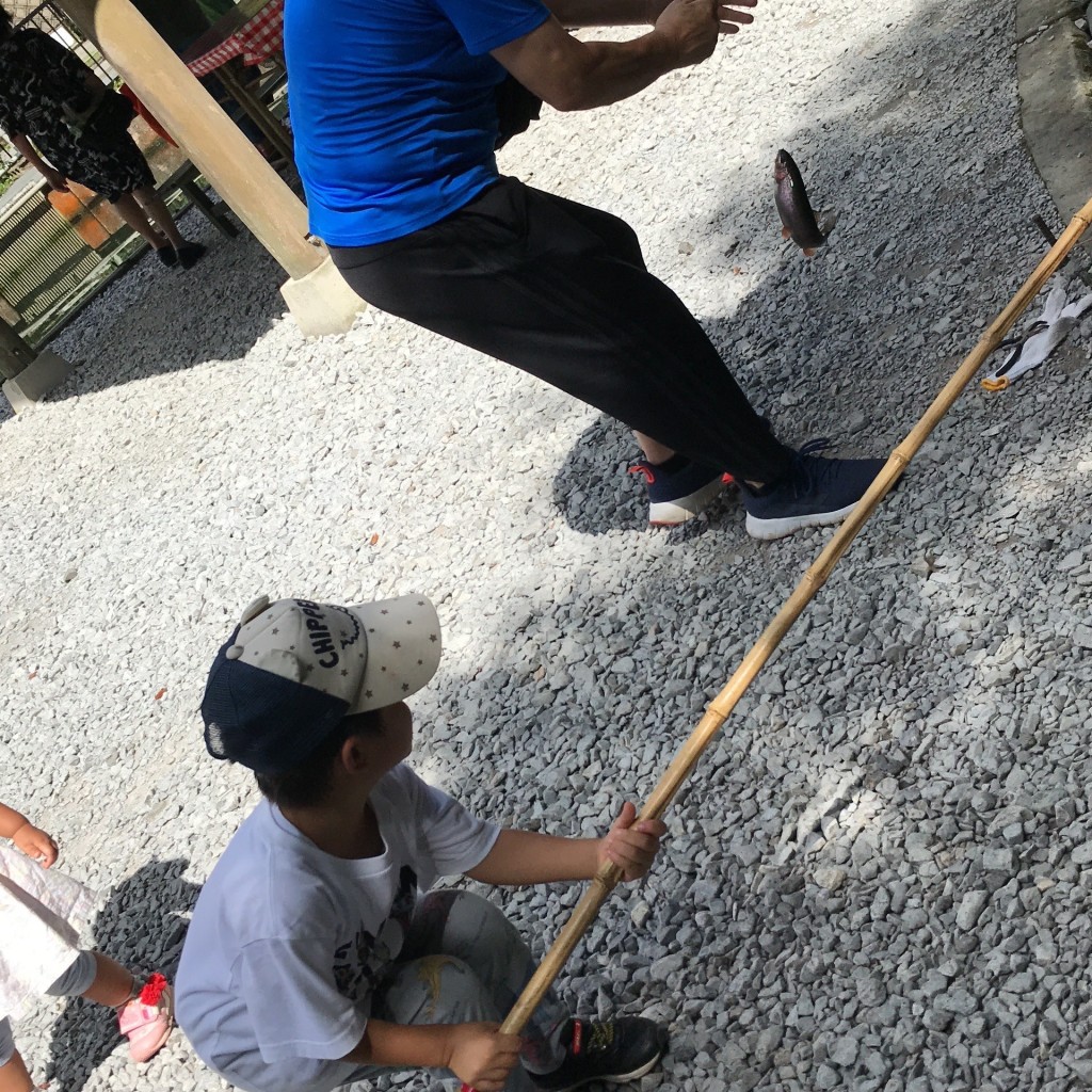 実際訪問したユーザーが直接撮影して投稿した上丹生養魚場 / 養殖場滋賀県醒井養鱒場の写真