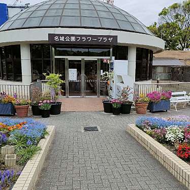 実際訪問したユーザーが直接撮影して投稿した名城植物園 / 樹木園名城公園フラワープラザの写真