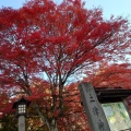 実際訪問したユーザーが直接撮影して投稿した見祢山神社土津神社の写真