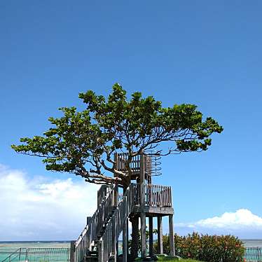 実際訪問したユーザーが直接撮影して投稿した南ぬ浜町公園南ぬ浜町緑地公園の写真