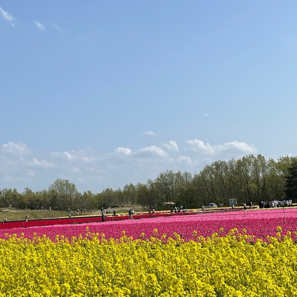 実際訪問したユーザーが直接撮影して投稿した築地公園長池憩いの森公園の写真