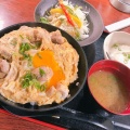 鳥骨鶏卵の親子丼 - 実際訪問したユーザーが直接撮影して投稿した上野焼鳥とり鉄 御徒町店の写真のメニュー情報