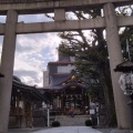 実際訪問したユーザーが直接撮影して投稿した下目黒神社大鳥神社の写真