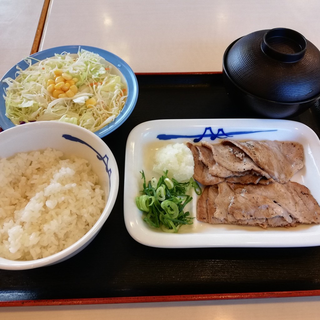 ユーザーが投稿した豚焼肉定食の写真 - 実際訪問したユーザーが直接撮影して投稿した西川町牛丼松屋 豊明店の写真