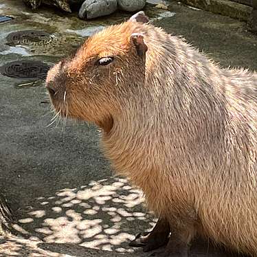 世界淡水魚園水族館 アクア・トト ぎふのundefinedに実際訪問訪問したユーザーunknownさんが新しく投稿した新着口コミの写真