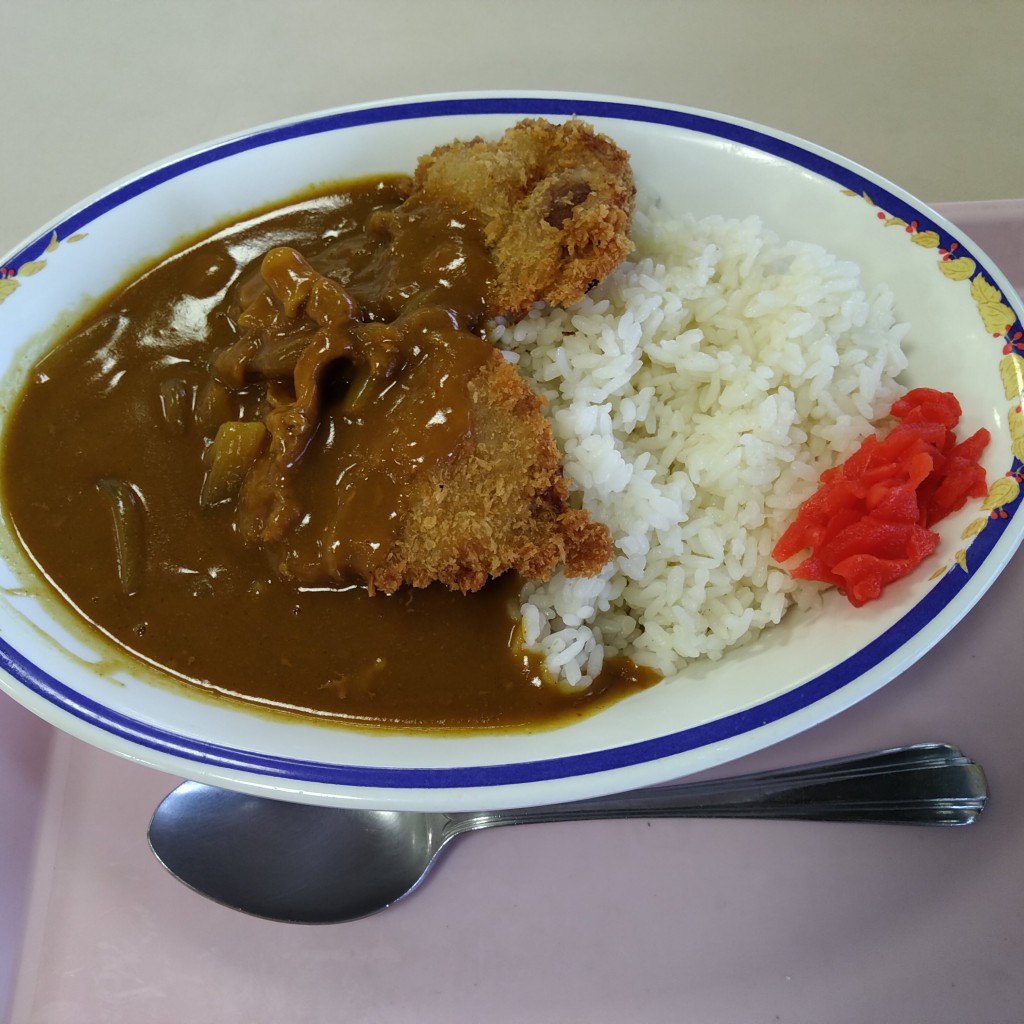 ユーザーが投稿したカツカレーの写真 - 実際訪問したユーザーが直接撮影して投稿した三の丸定食屋和食堂の写真