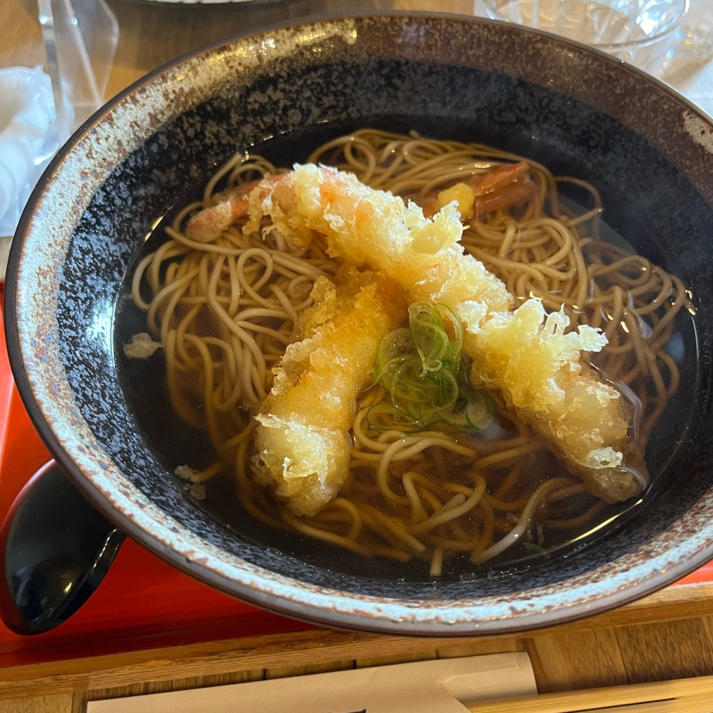 ユーザーが投稿した天ぷら蕎麦の写真 - 実際訪問したユーザーが直接撮影して投稿したそばぎおん石 京そば処の写真