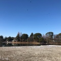 実際訪問したユーザーが直接撮影して投稿した柏の葉公園柏の葉第1水辺公園の写真