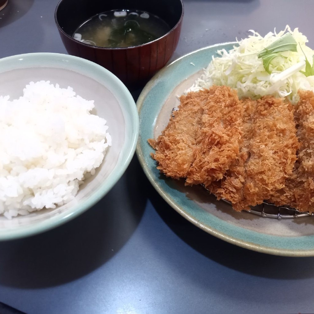 ユーザーが投稿した特選ヒレカツ定食の写真 - 実際訪問したユーザーが直接撮影して投稿した松風町とんかつ函館 とんき 大門店の写真