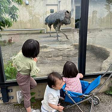 旭川市旭山動物園のundefinedに実際訪問訪問したユーザーunknownさんが新しく投稿した新着口コミの写真