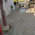 実際訪問したユーザーが直接撮影して投稿した柳神社郡山八幡神社の写真