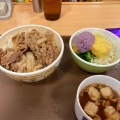 牛丼並 - 実際訪問したユーザーが直接撮影して投稿した西餅田牛丼すき家 10号姶良宮島店の写真のメニュー情報