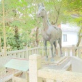 実際訪問したユーザーが直接撮影して投稿した東陽神社鬪鷄神社の写真