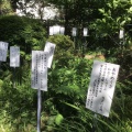 実際訪問したユーザーが直接撮影して投稿した西元町植物園 / 樹木園国分寺万葉植物園の写真