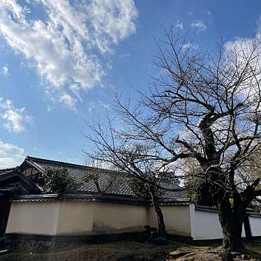 実際訪問したユーザーが直接撮影して投稿した雑司町寺東大寺指図堂の写真