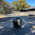 実際訪問したユーザーが直接撮影して投稿した三の丸公園名城公園の写真