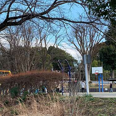 実際訪問したユーザーが直接撮影して投稿した和泉町公園内林第二公園の写真