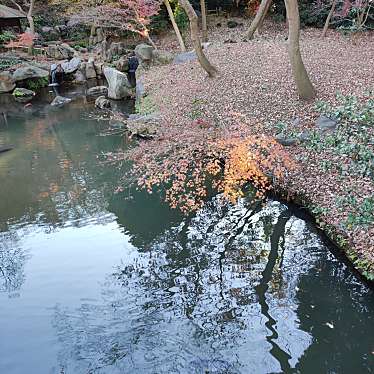 実際訪問したユーザーが直接撮影して投稿した本駒込庭園蓬莱島の写真